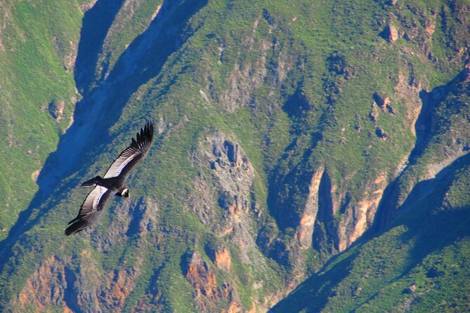 Colca Canyon Tour 2d Short Hiking +Overnight in Small Village Ending in Arequipa - Meeting and Pickup