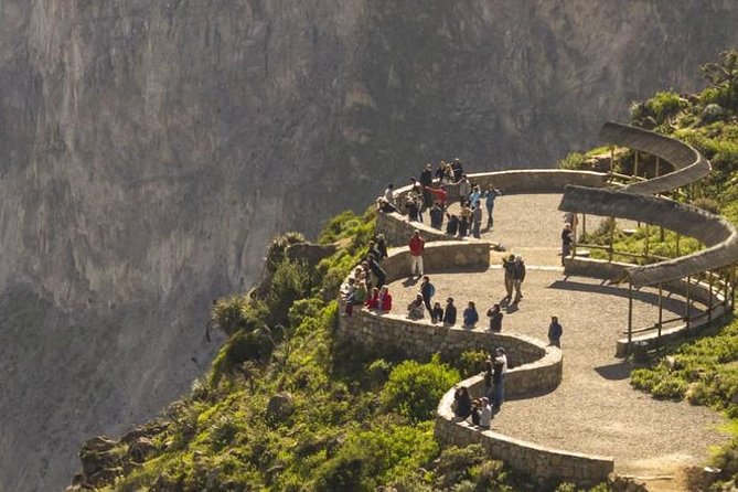 Colca Full Day Group Tour - Health and Accessibility