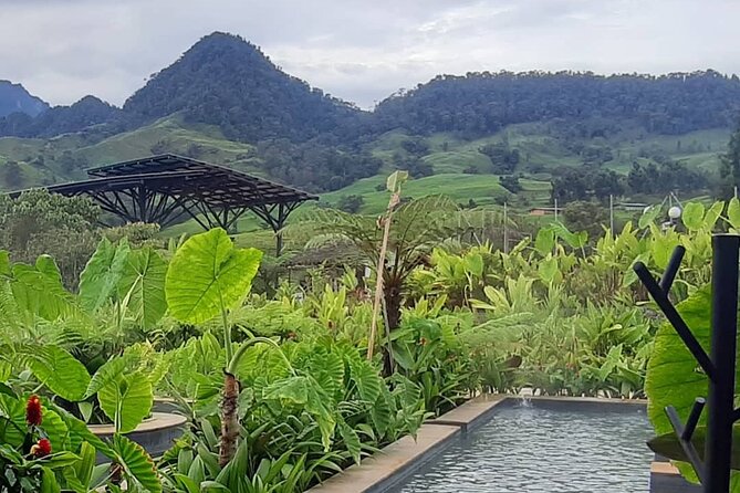 Colombia Custom Motorcycle Trip With Bilingual Guide - Private Transportation and Accessibility