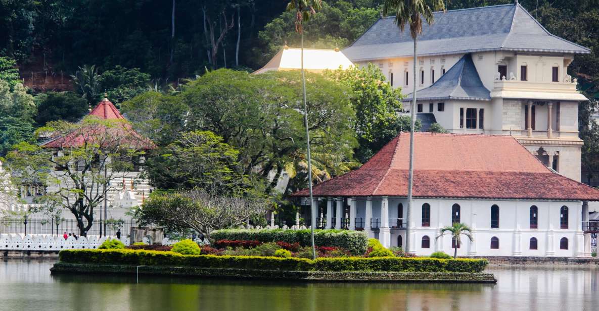 Colombo or Negombo: Temple of the Tooth Kandy Day Trip - Inclusions and Exclusions