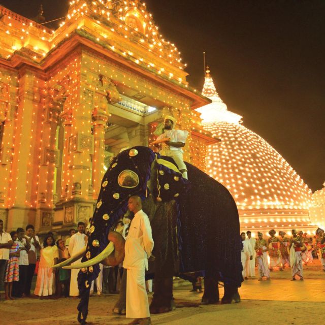 Colombo Port Shore Excursions Colombo City & Kalaniya Temple - Transportation and Services