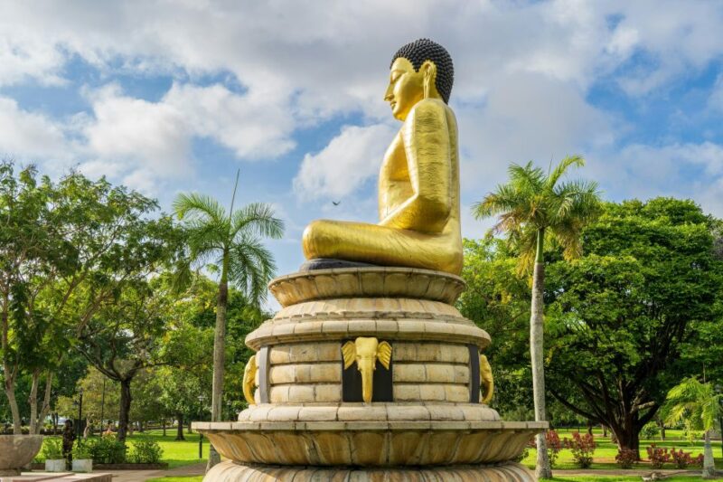 Colombo Shore Excursion - Experience and Accessibility