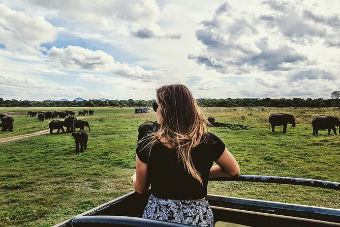 Colombo to Trincomalee Shuttle & Safari Drive - Exploring National Parks