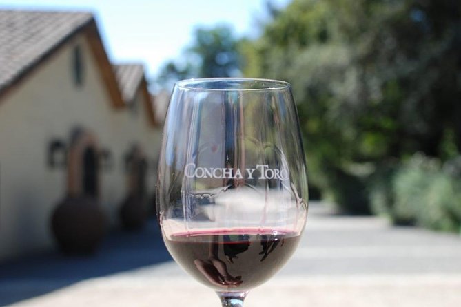 Concha Y Toro Vineyard - Negative Feedback