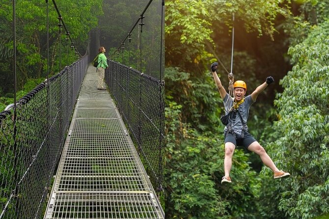 Congo Combo (Hanging Bridges and Zipline Adventure) - Traversing Hanging Bridges