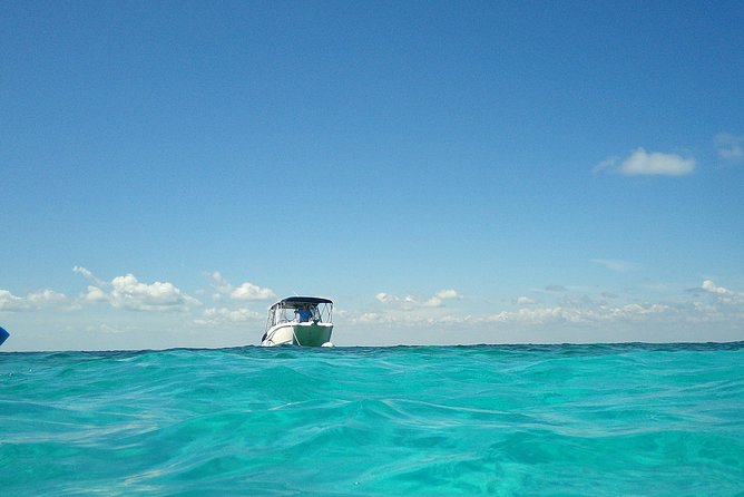 Coral Reef Private Snorkel Tour Out to John Pennekamp Coral Reef State Park - Tips for Your Snorkel Adventure