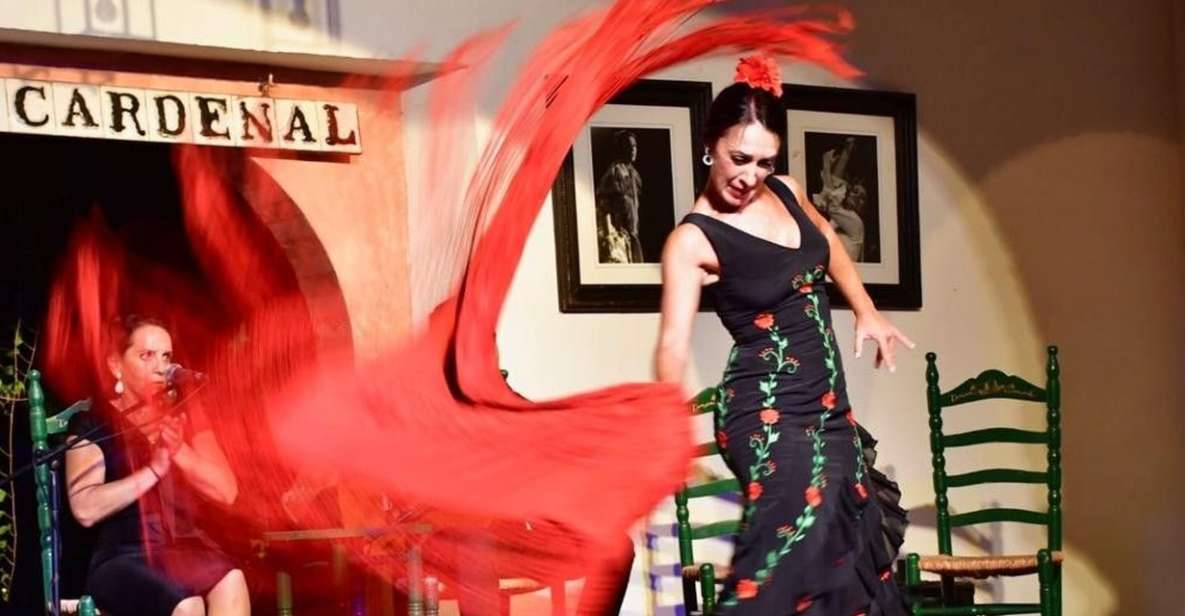 Córdoba: Flamenco Show Ticket With Drinks - Skilled Flamenco Artists