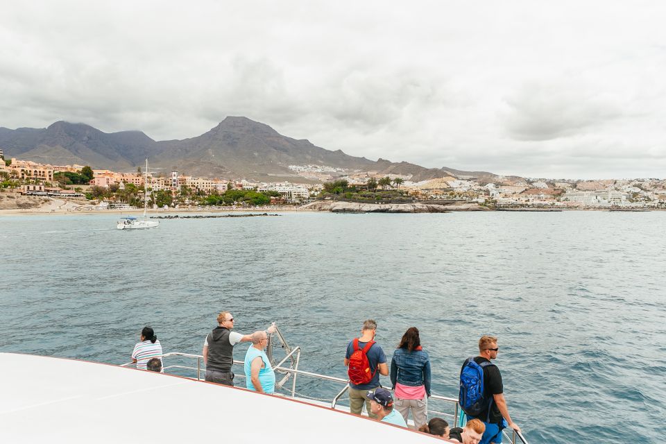 Costa Adeje: Whale & Dolphin Submarine Vision Mini Cruise - Itinerary Highlights