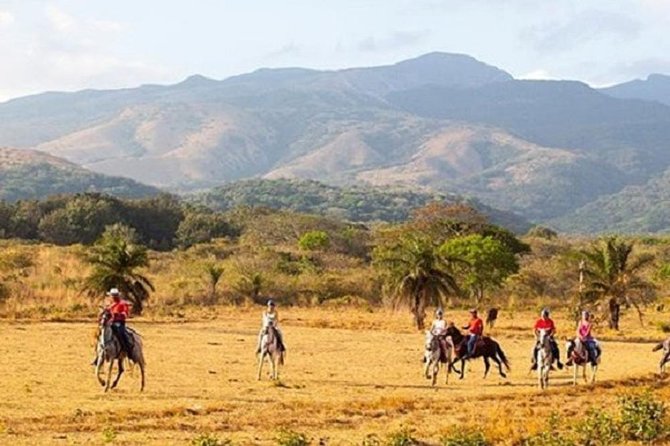 Costa Rica Adventure Package Beach and Rainforest 8 Days - Accommodation and Meals