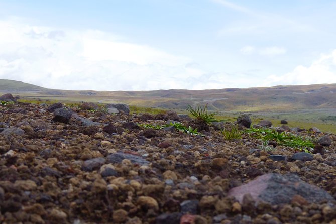 Cotopaxi Full Day Tour - Avenue of the Volcanoes