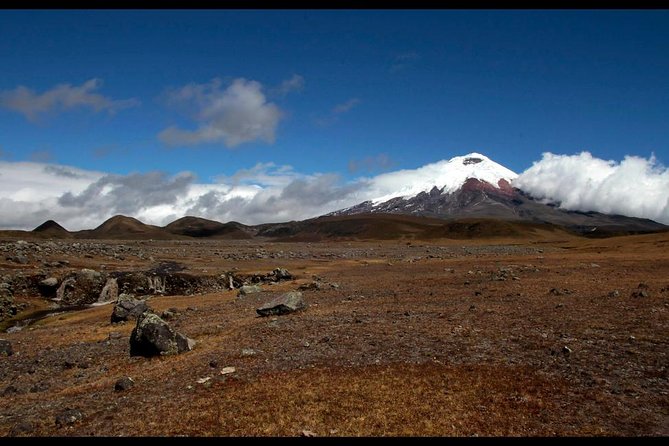 Cotopaxi Volcano From Quito - Private Tours - Ecuadorian Culture and Amenities
