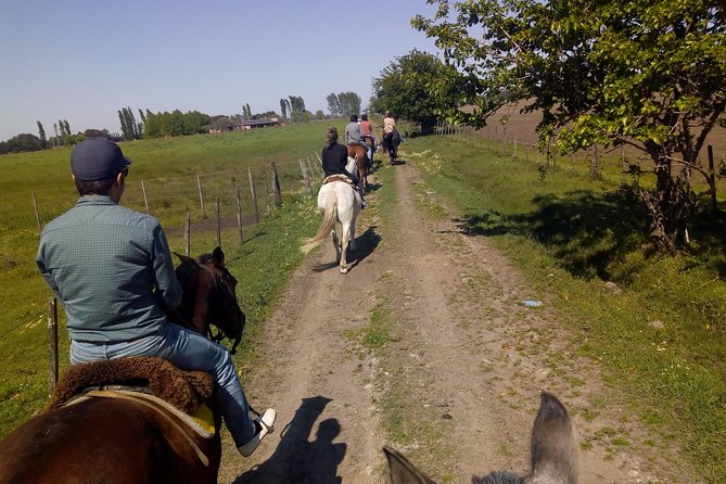 Countryside Escape: Horseback Riding Experience in Carlos Keen - Savoring the Authentic Box Lunch