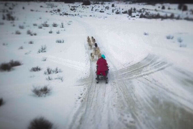 Crab Route in the Snow 4x4 in Tierra Del Fuego - Final Verdict On This Stay