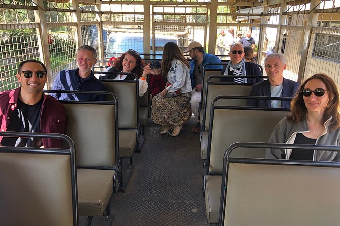 Cradle of Humankind Tour With Lion Safari From Johannesburg - Itinerary Details