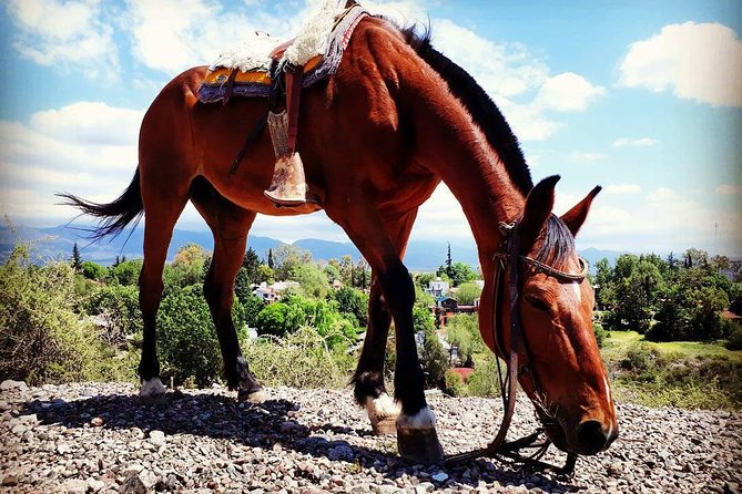 Criolla Horseback Riding - Meeting and Pickup Information