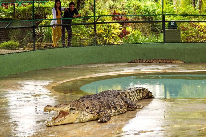 Crocodile Adventureland Langkawi Admission Ticket - Unique Visitor Experiences