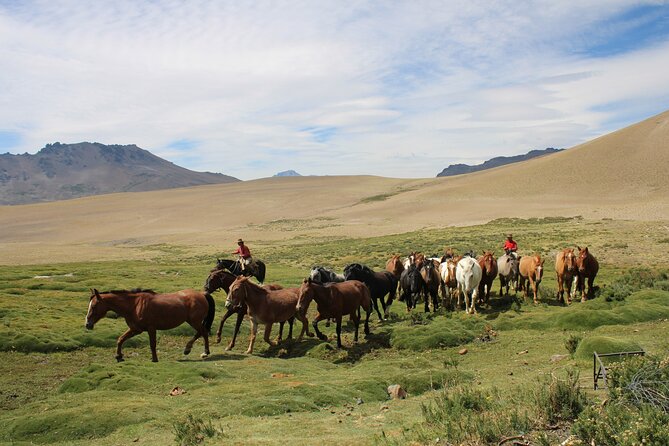 Crossing the Andes on Horseback in a 5-Day Tour - Accommodations and Meals