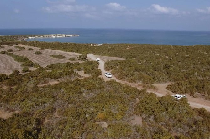 Cruise and 4X4 Safari Tour at Akamas Peninsula From Limassol - Important Considerations