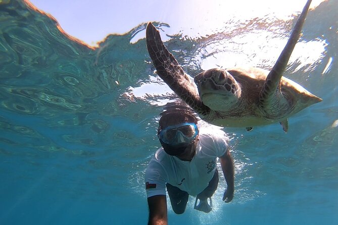 Cruises to Daymaniyat & Snorkeling - Wildlife Encounters