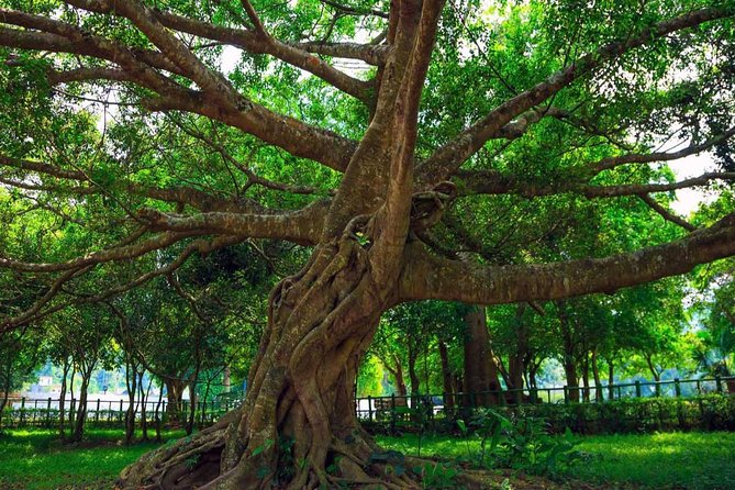 Cuc Phuong National Park Trekking Day Trip - Trekking Itinerary and Activities