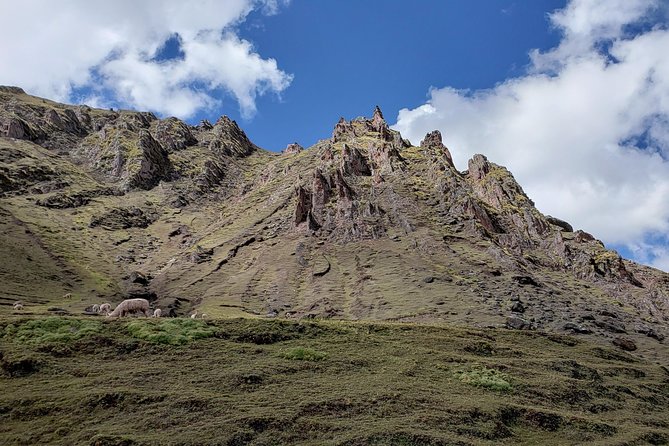 Cusco: Alpaca and Llama Farm Tour With Transfer & Weaving Demo - Cancellation Policy