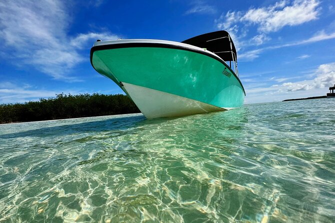 Custom Charters With a Local Captain - Amenities and Inclusions