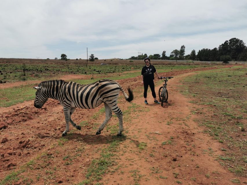 Cycle With Wild Animals (No Predators, Quality Cycles) - Cycling Through the Game Park