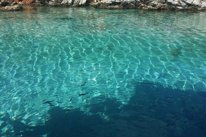 Daily Boat Trip in Bodrum With Lunch - Highlights of the Cruise