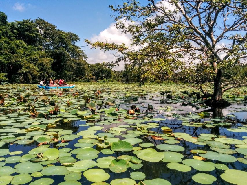 Dambulla: Cave Temple and Village All-Inclusive Tour - Itinerary Details