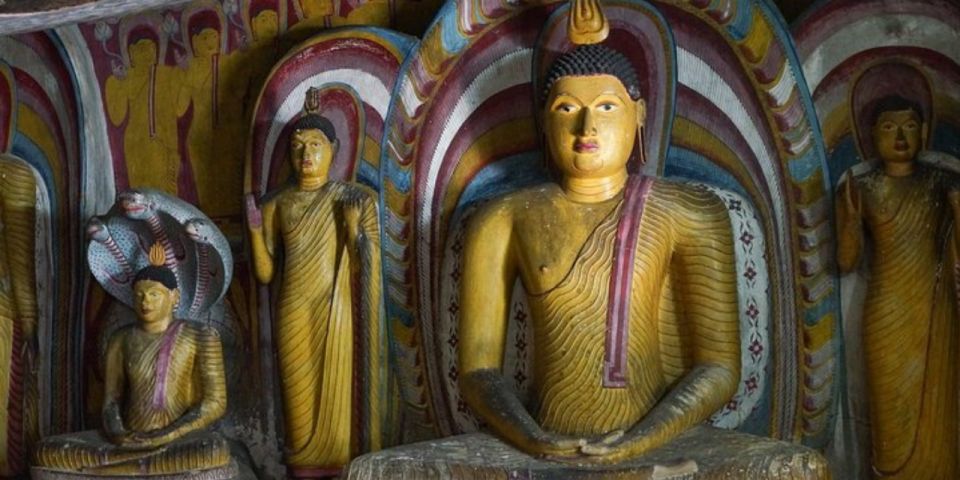 Dambulla Cave Temple & Cultural Village Immersion Tour - Inclusions