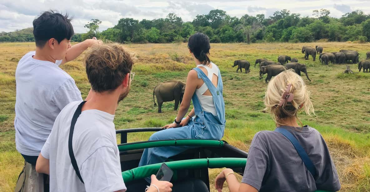 Dambulla/Sigiriya/Habarana: Minneriya National Park Safari - Logistics and Accessibility