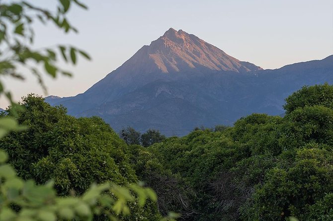 Darwins Route: Traversing the Chilean Palm Forest - Booking Requirements and Considerations
