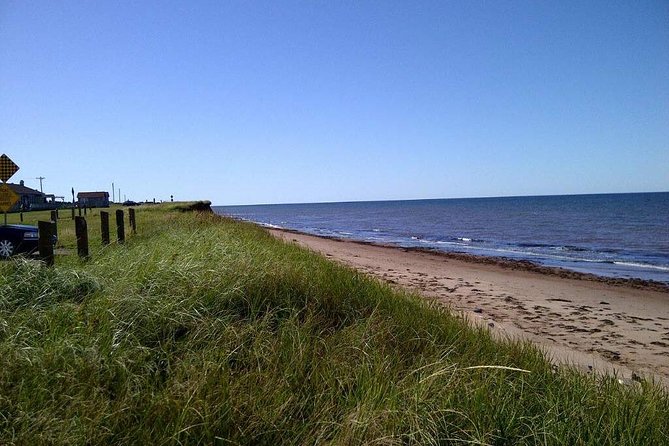 Davids North Shore Tour - Booking Information