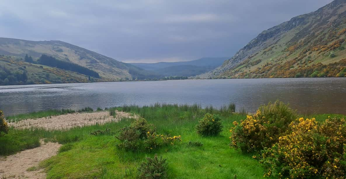 Day Car Trip Explore Amazing County Wicklow , Dublin-Wicklow - Experience and Activities