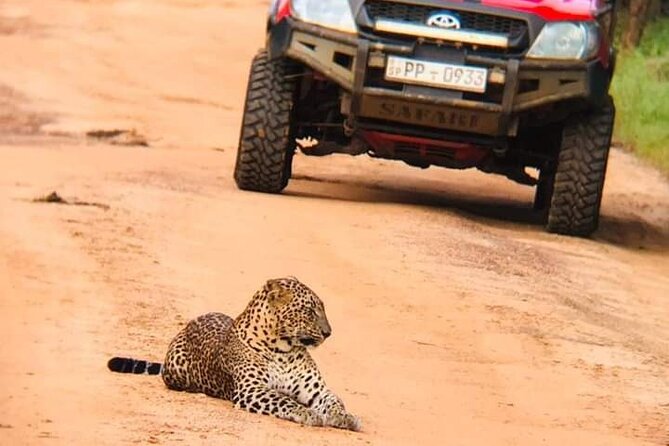 Day Excursion From Colombo to Yala Safari (Leopard Safari Tour) - Exploring Yala National Park