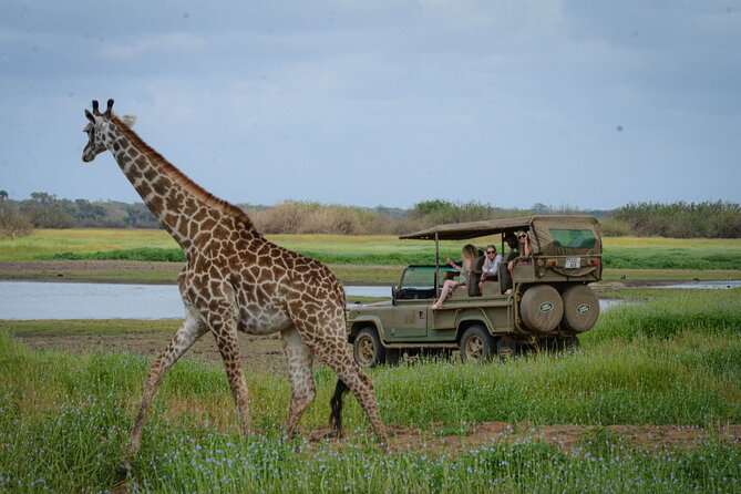 Day Safari Tour Selous Game Reserve - Meeting and Pickup Details