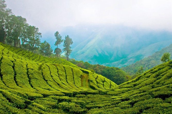 Day Tour to Nuwara Eliya From Kandy by Lux Tours Lanka - What to Expect