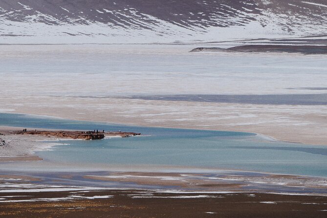 Day Tour to Piedras Rojas and Altiplanic and Chaxa Lagoons - Cancellation and Pricing