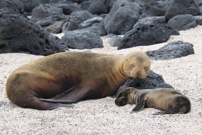 Day Tour to San Cristobal Island With Private Land Tour and Snorkeling - Puerto Baquerizo Moreno
