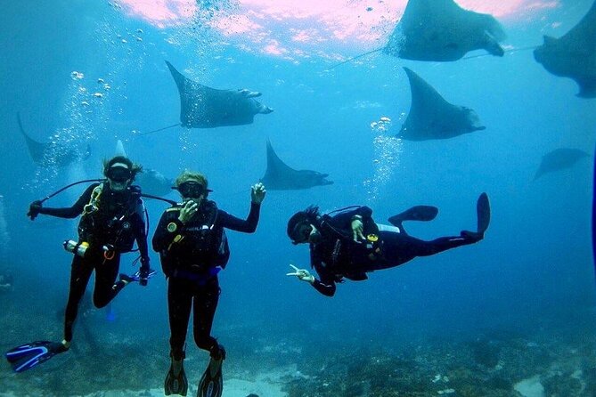 Day Trip Discover Scuba Dive in Nusa Penida 2 Dives (From Sanur - South Bali) - Inclusions of the Tour