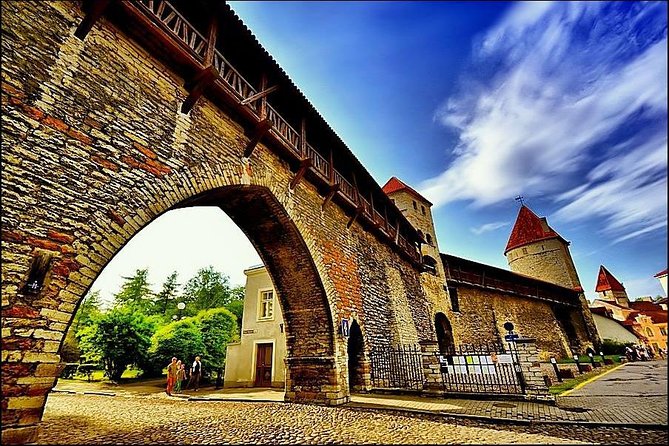Day Trip From Helsinki to Tallinn. Ferry Included - Tour Experience and Guides