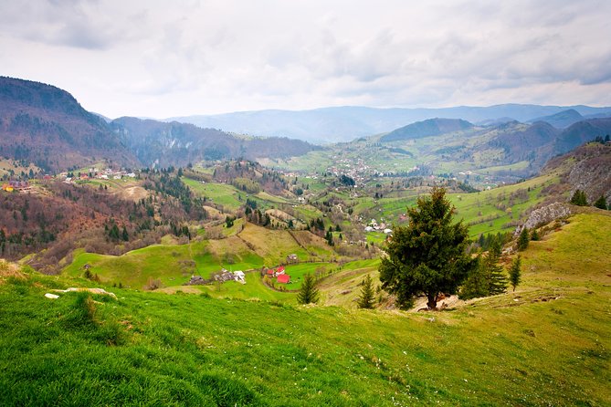 Day Trip From Iasi to the UNESCO Painted Monasteries in Bucovina - Moldovita Monastery Highlights