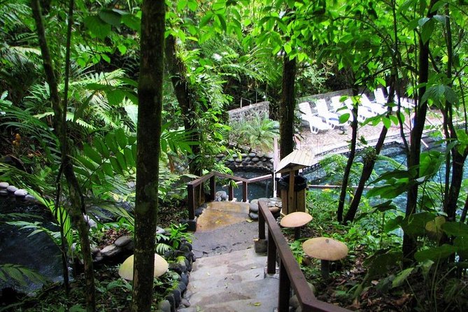 Day Trip From San Jose to Tabacon Hot Springs Resort & Spa - Arenal Volcano Highlights