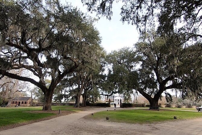 Day Trip to Charleston#5: Bus Tour,Boone Hall, City Market, Lunch - Boone Hall Plantation Experience
