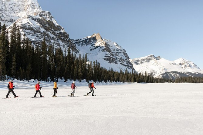 Day Trip to Lake Louise, Johnston Canyon, Banff and Minnewanka - Recommendations for Travelers