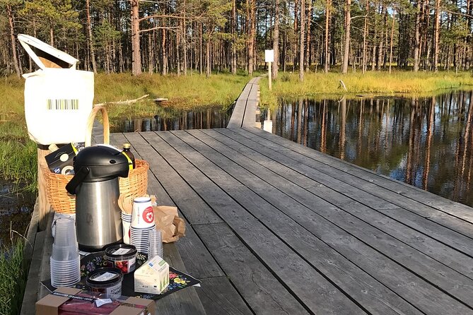 Day Trip to Land of Bays, the Romantic North-Coast From Tallinn - Group Size and Accessibility