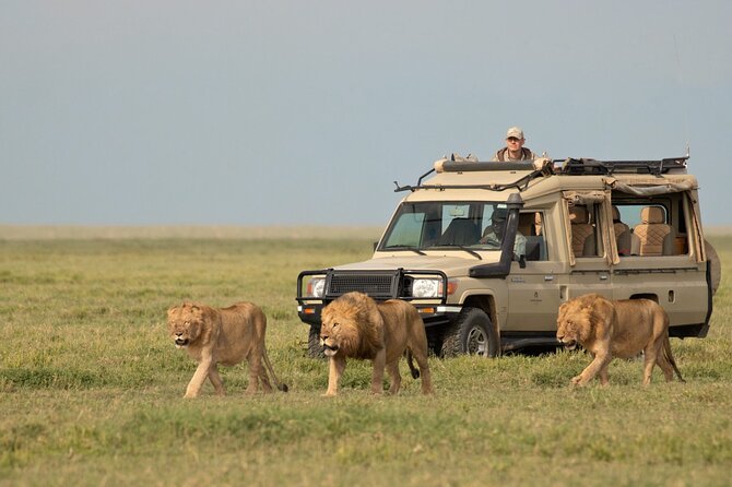 Day Trip to Selous (Nyerere) National Park Flying From Zanzibar - Inclusions and Amenities