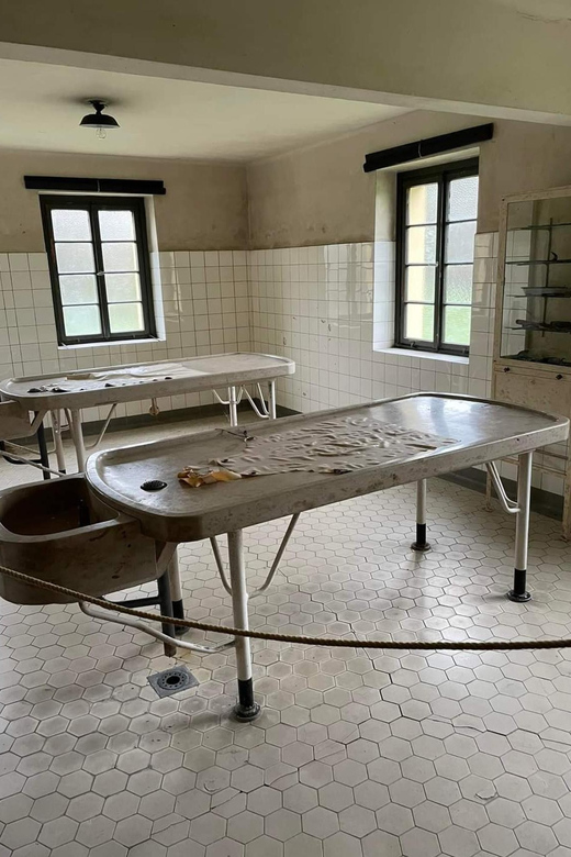 Day Trip to Terezín Concentration Camp With Czech Lunch - Experience Highlights