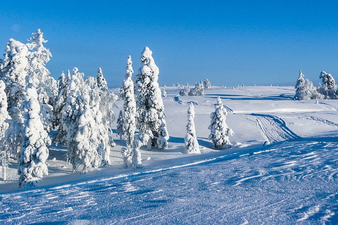 Deep Snow Powder Driving - Tour Experience Highlights