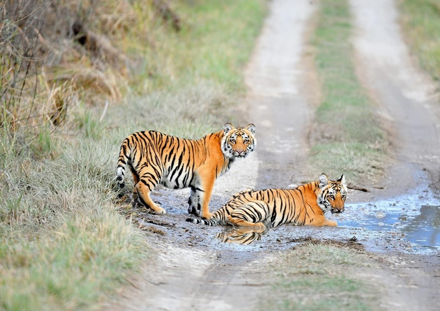 Delhi Agra Jaipur Ranthambore 6 Days Tour - Exploring Agra